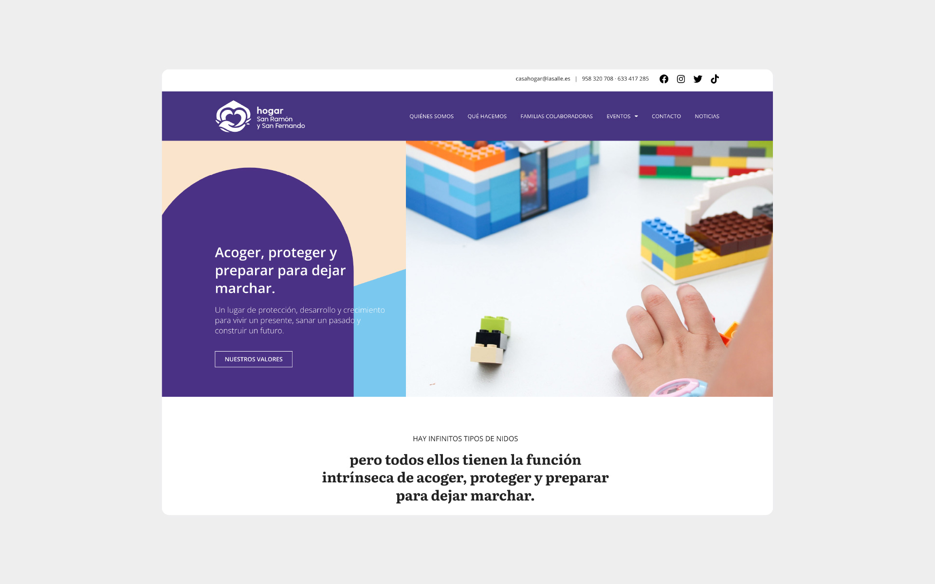 Proyecto de Hogar San Ramón y San Fernando-web
