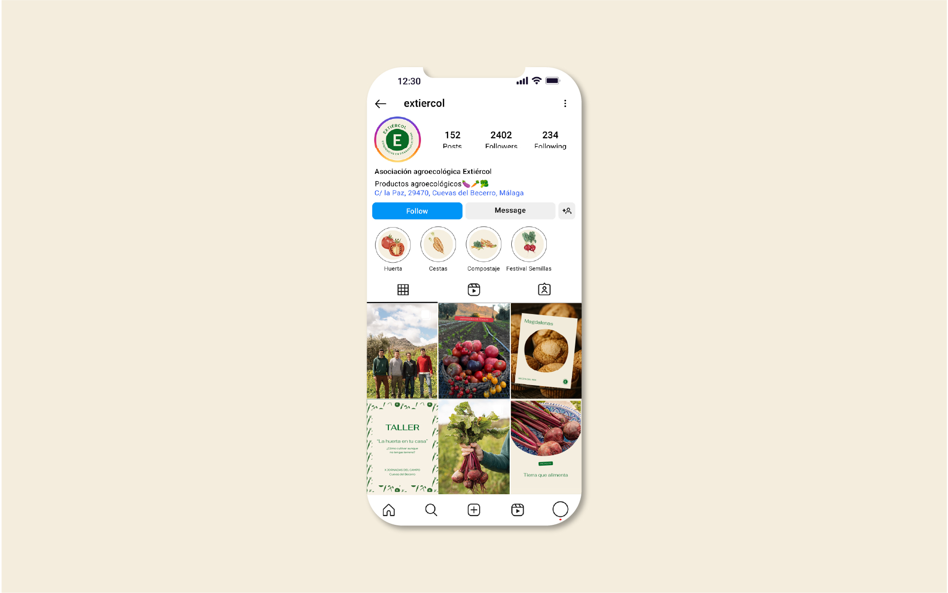Diseño de feed de Instagram para Extiercol