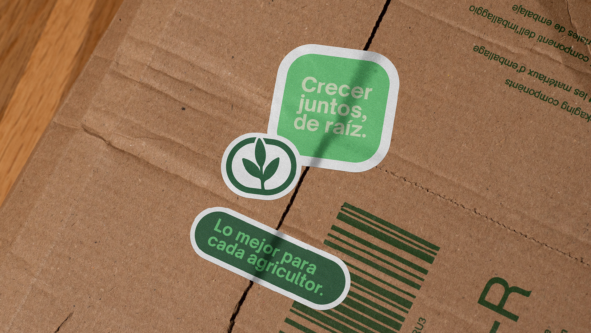Diseño de pegatinas para Hoyoscorp