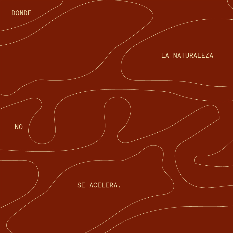 Diseño patrón rojo para Savia